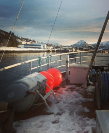 En bateau dans le fjord - Retour de pêche