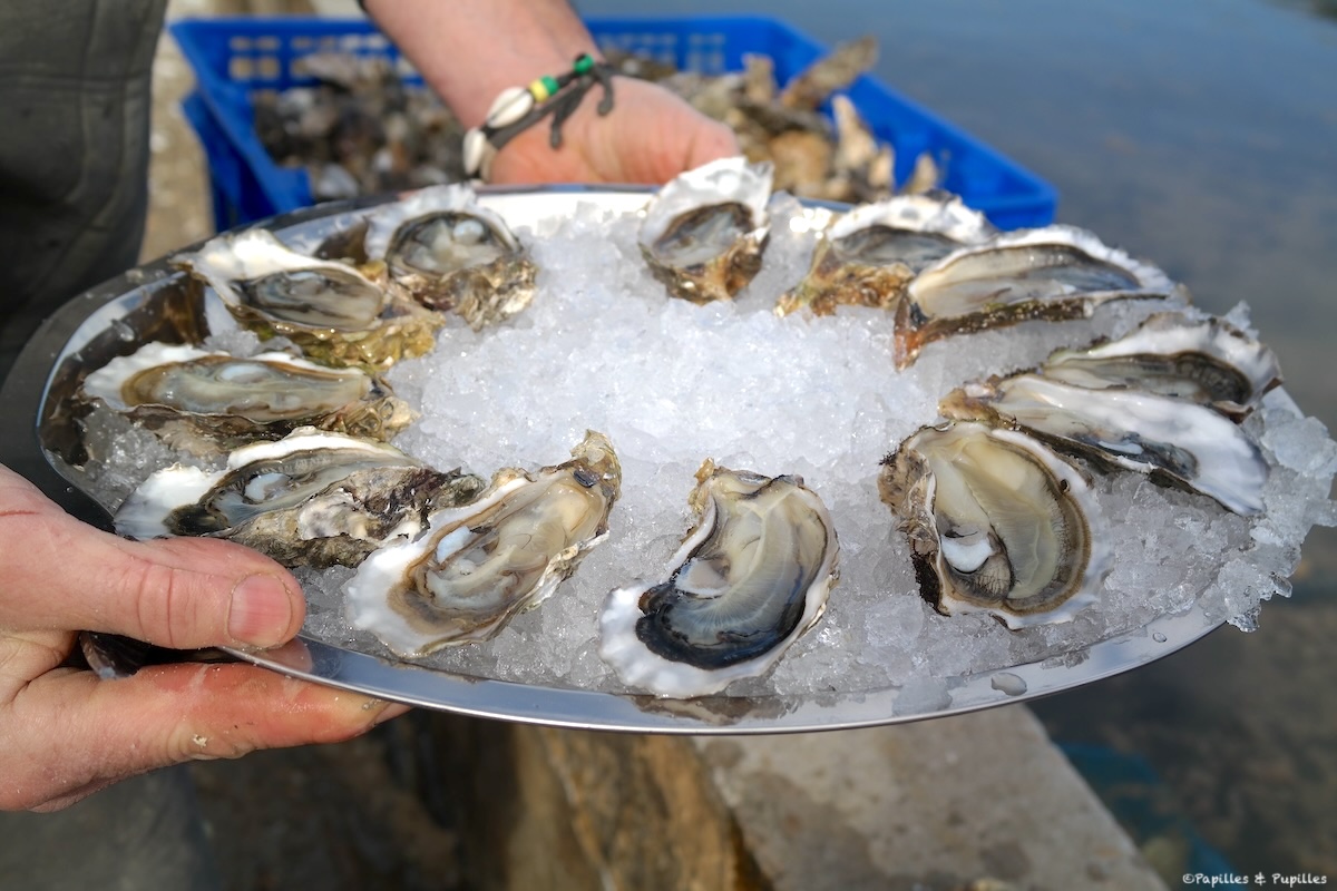 Huîtres