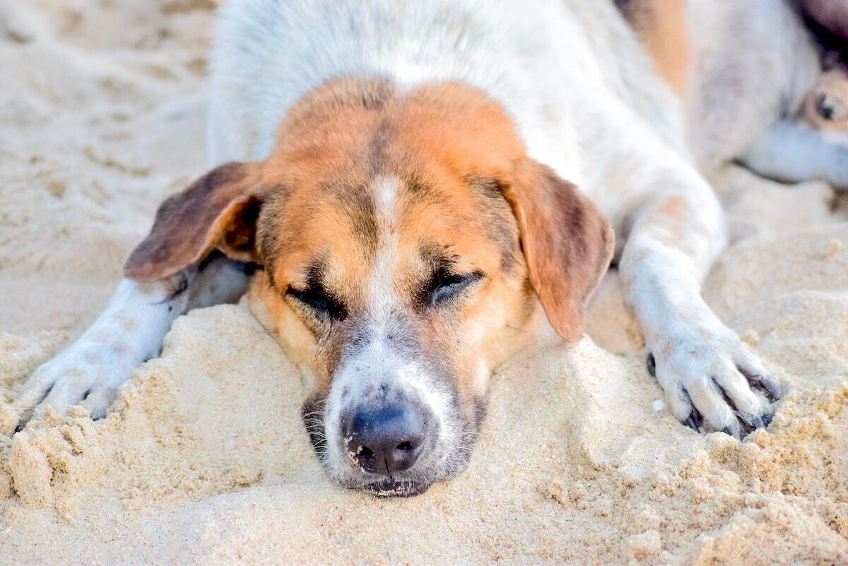 Mal de mer © Alice on Unsplash