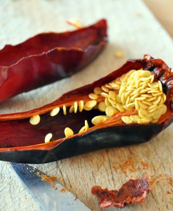Piment d'Espelette ©fred_v licence CC BY 2.0