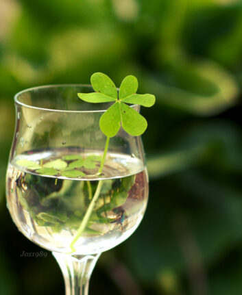 St Patrick ©Gioia De Antoniis CC BY-NC-ND 2.0