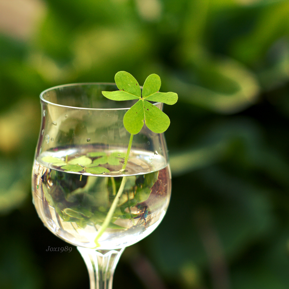 Ambiance de Saint-Patrick en Irlande avec décor festif et couleur verte