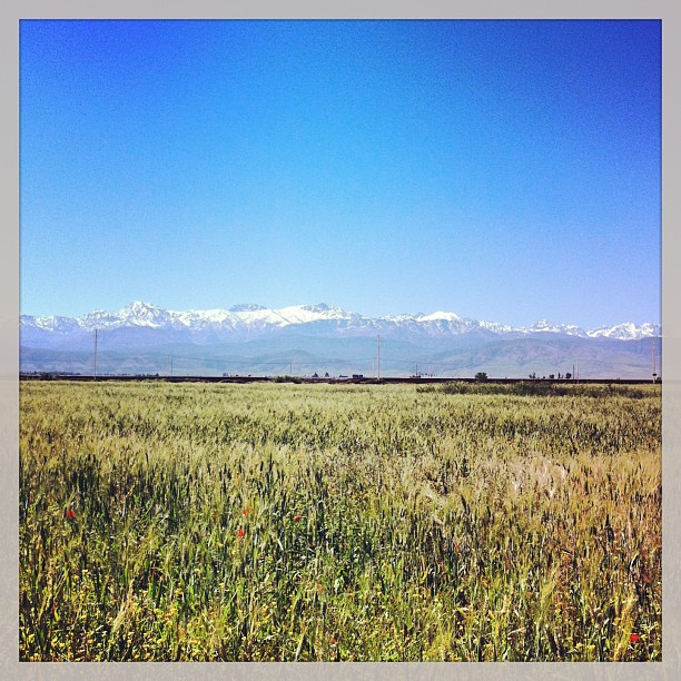 Sur la route de l'Atlas, Maroc