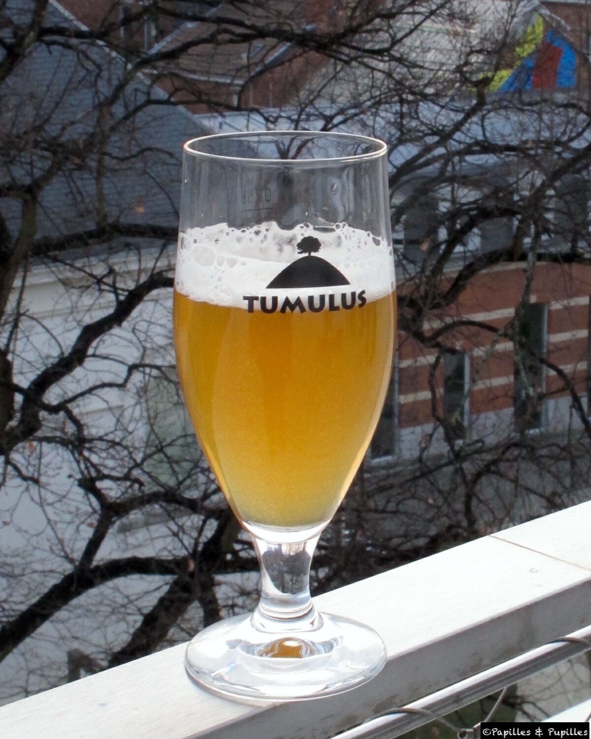 Bière - Tumulus