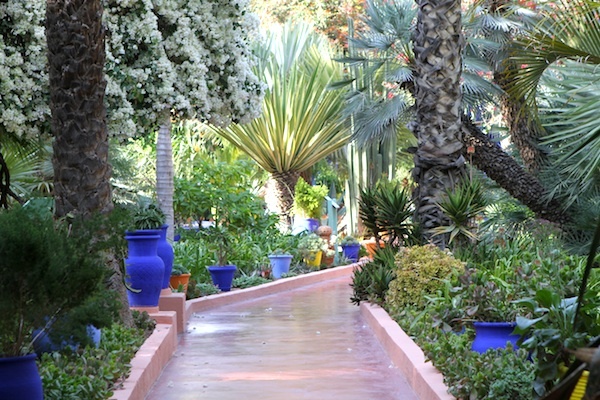 Jardin Majorelle
