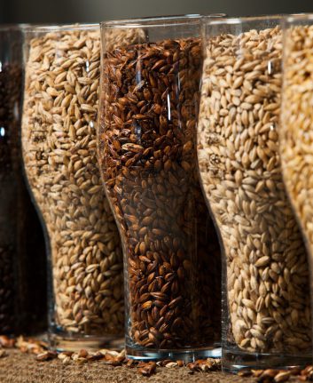 Malts ©romeovip_md shutterstock