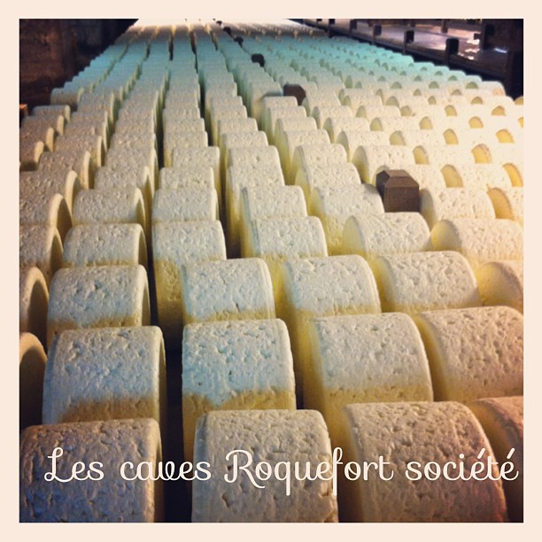 Les caves de Roquefort société