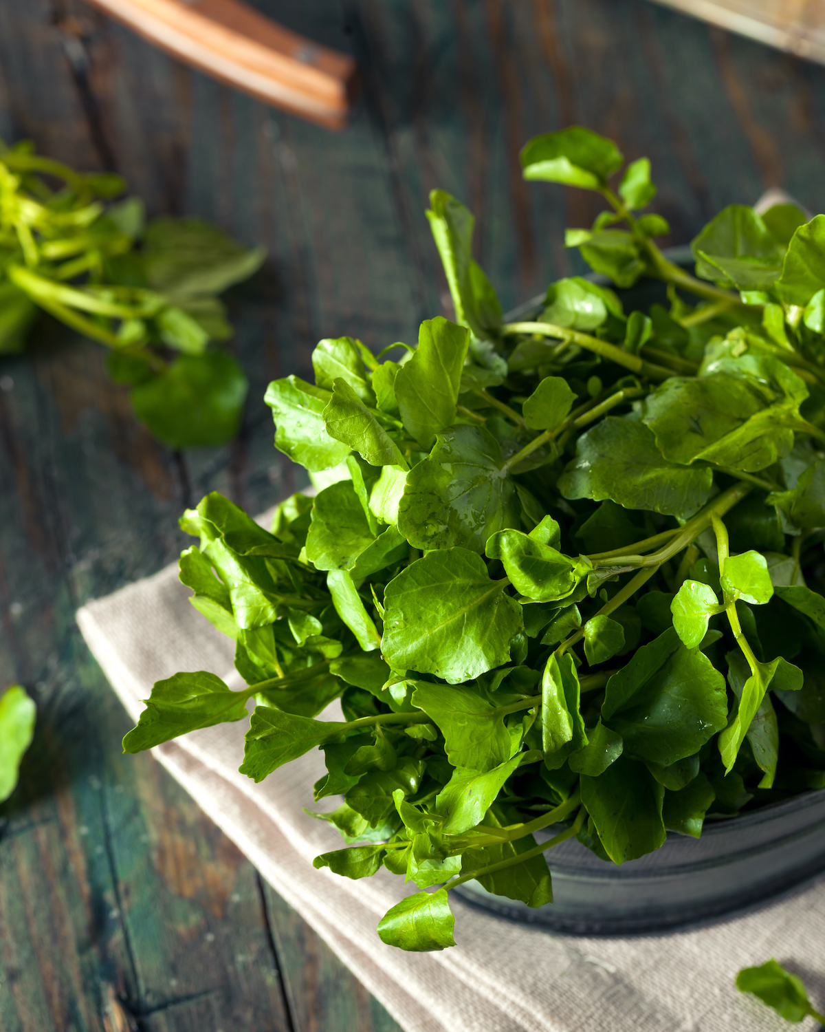 Cresson © Brent Hofacke shutterstock