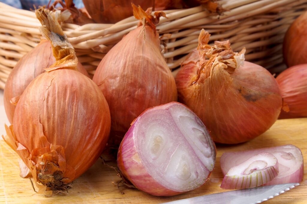 Echalotes (c) Julia Liang B Nielsen shutterstock
