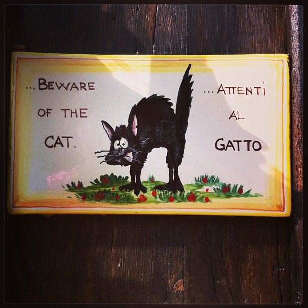 Attention ... Au chat