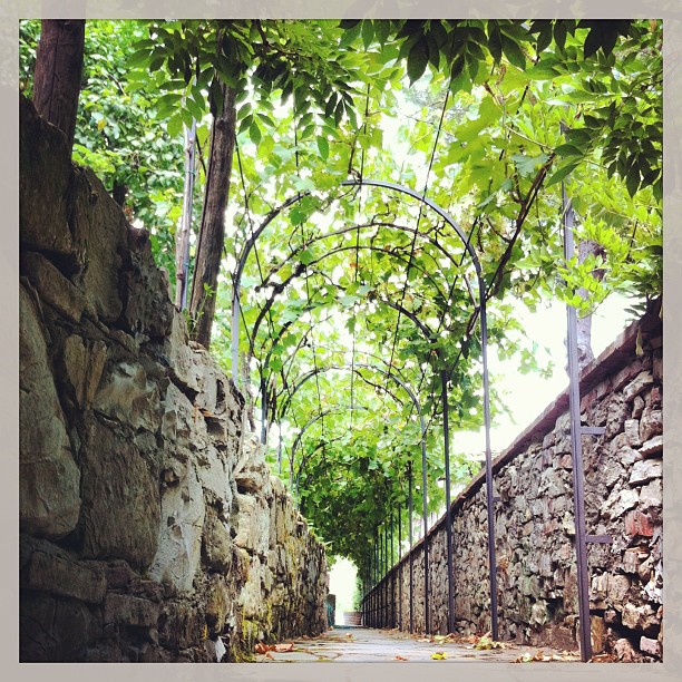 Ce petit chemin qui sent la noisette (et aussi le Chianti)
