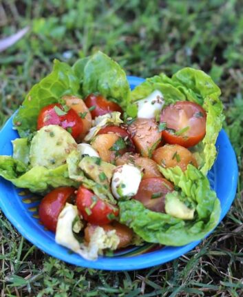 Salade fraicheur au melon, à la mozzarella et à l'avocat
