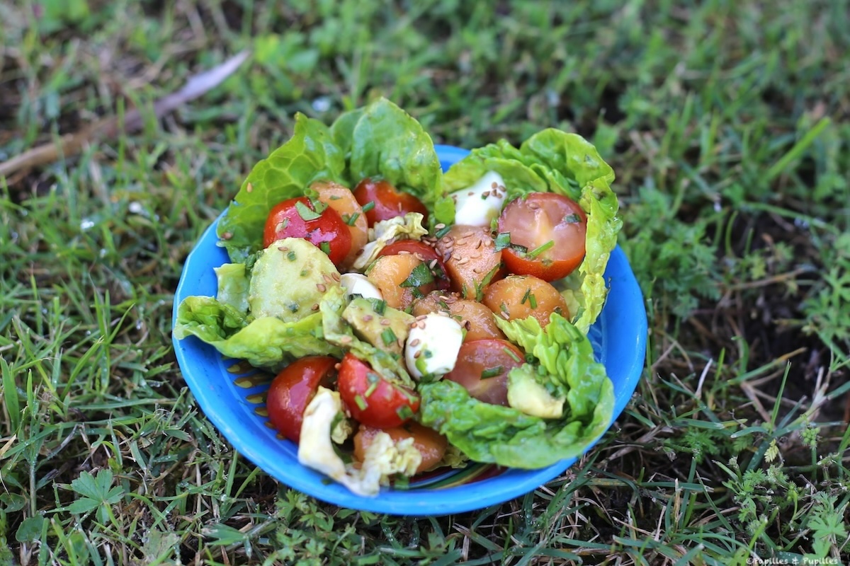 Salade fraicheur au melon, à la mozzarella et à l'avocat