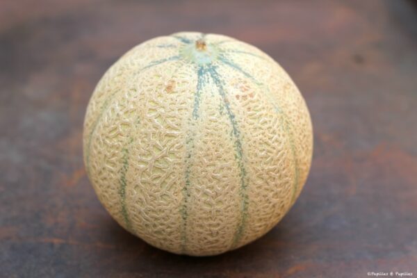 Melon