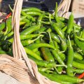 Piments doux ©Ana del Castillo shutterstock