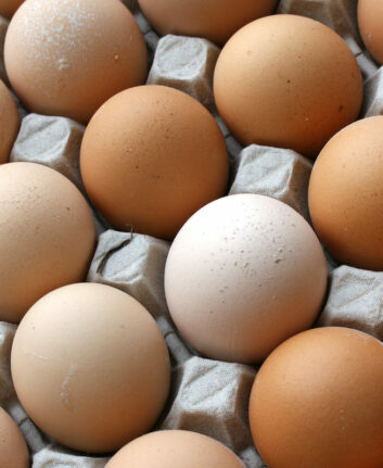 Oeufs ©Pietro Izzo CCBYNCSA20