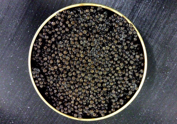 Caviar de Neuvic ©Domaine Huso