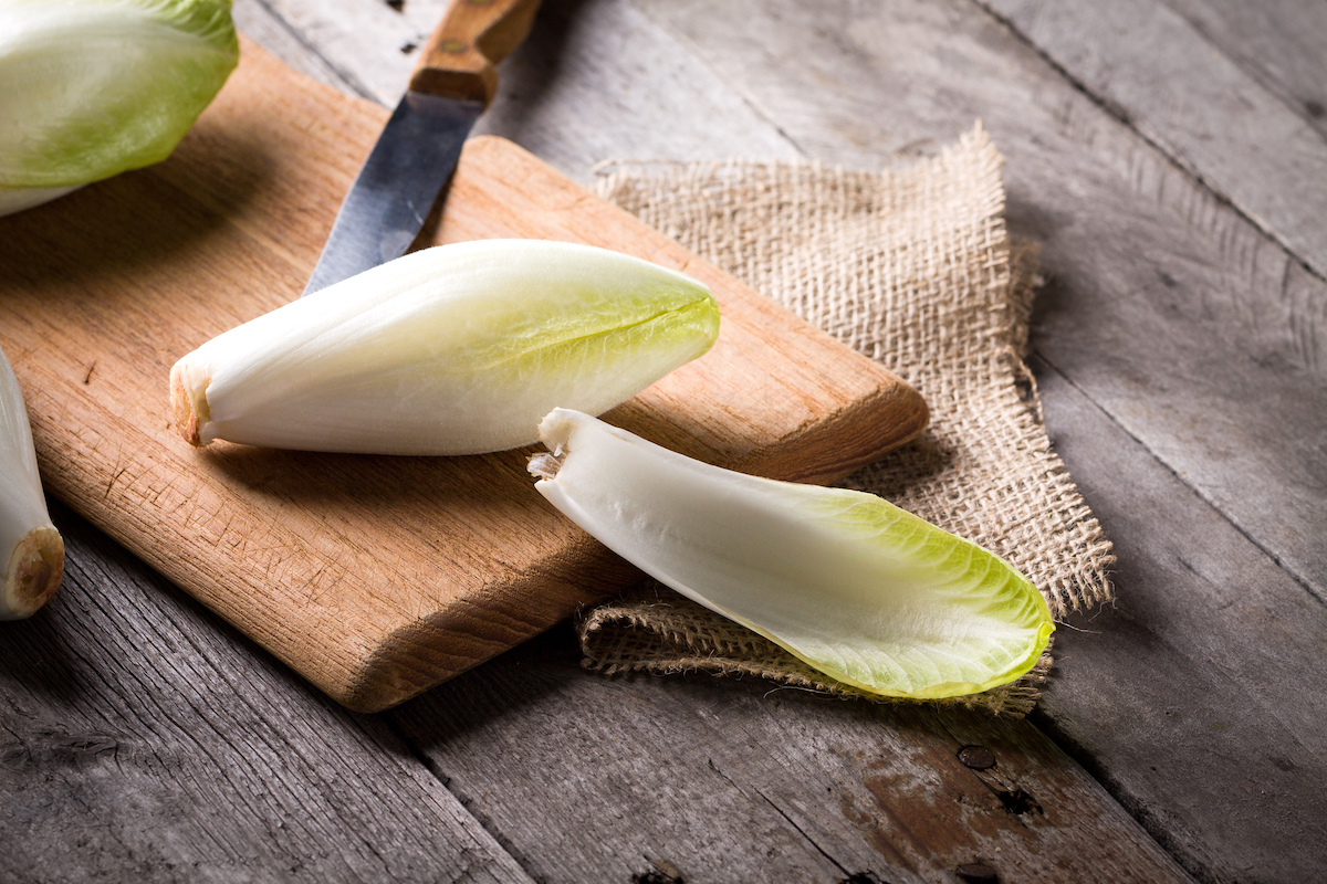 Endives ©cegli shutterstock