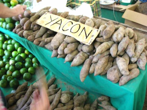 Yacon ©chotda CC BY-NC-ND 2.0