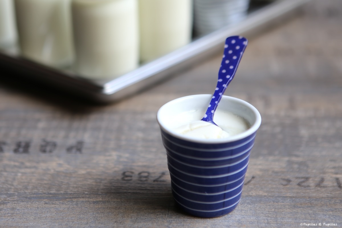 Yaourts aromatisés au sirop praline