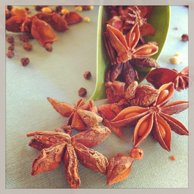 Anis étoilé Ile Maurice