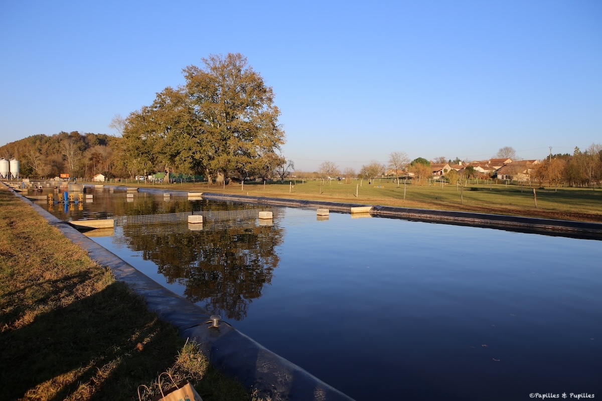 Bassins - Domaine Huso