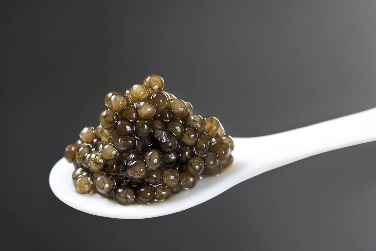 Caviar de France - Du Bassin