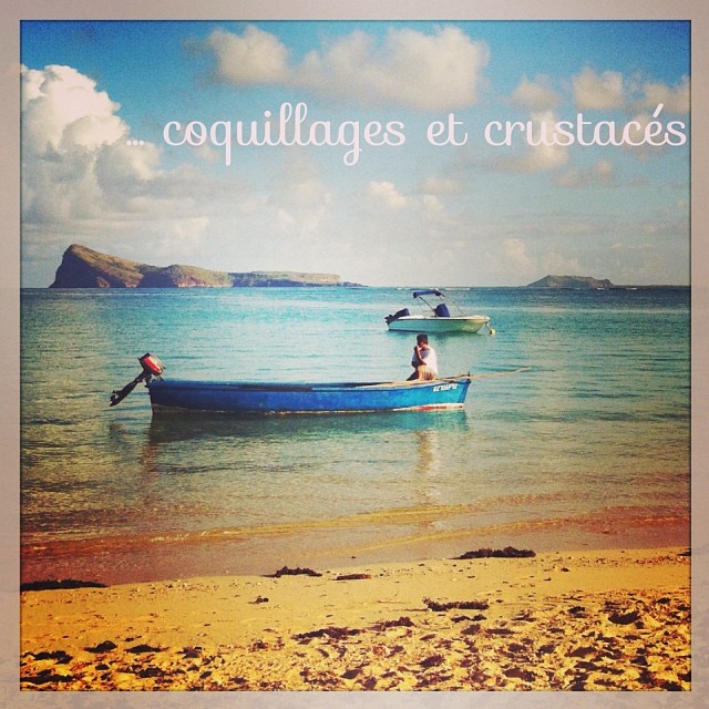 Coquillages et crustacés