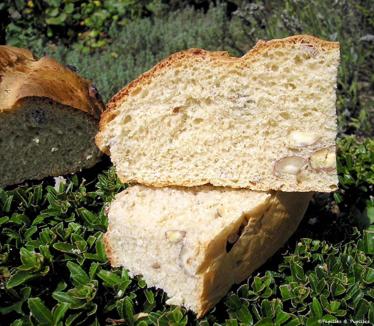 Хлеб из спельтовой муки, фундука и орехового молока