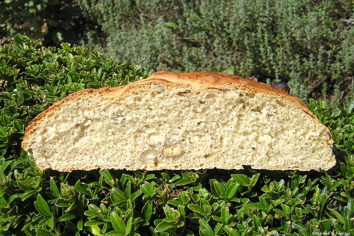 Pain à l'épeautre et au lait de noisettes