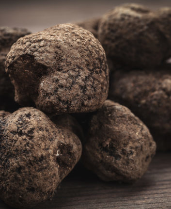 Truffes noires © Ruggiero Scardigno shutterstock