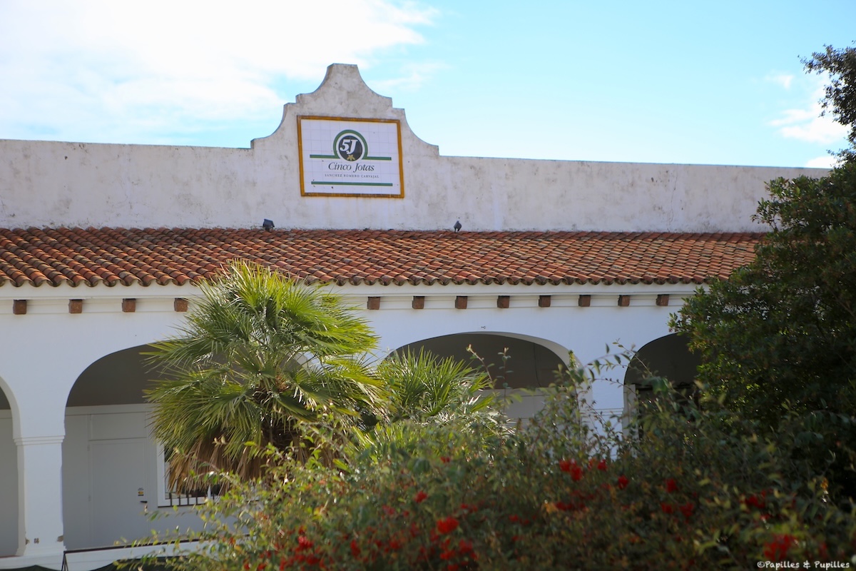 Chez Cinco Jotas