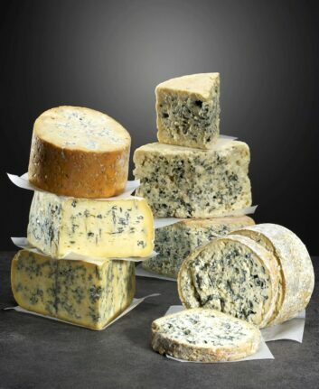 Fromages à pâte persillée