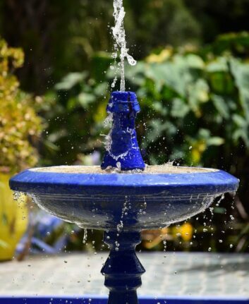 Jardin Majorelle ©JerOme82 Pixabay