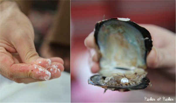 On nettoie la perle dans du sel, on la remet éventuellement dans l'huître pour la photo