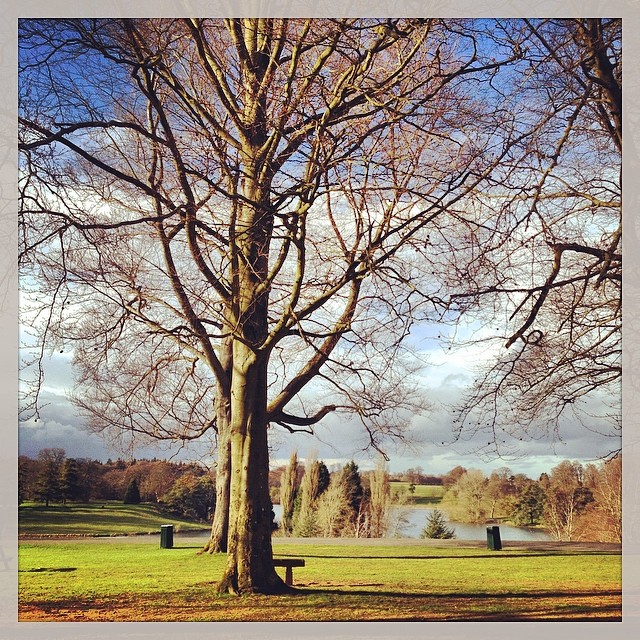 Campagne anglaise, sous le soleil