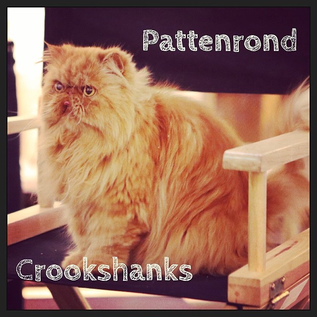 le vrai, l'unique #harrypotter