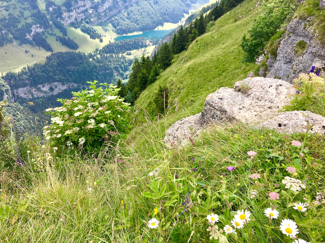 Appenzell ©ira008 shutterstock