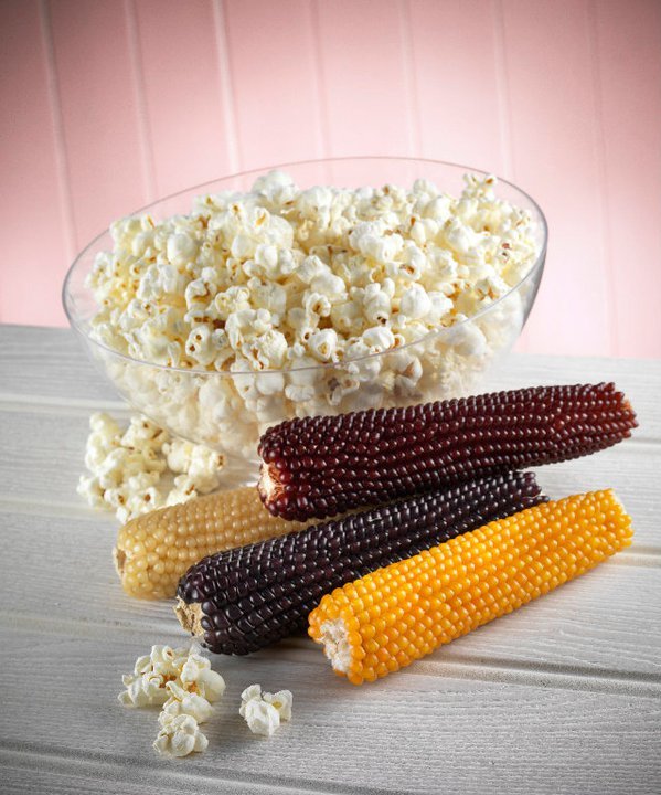 Popcorn ©Zaramama