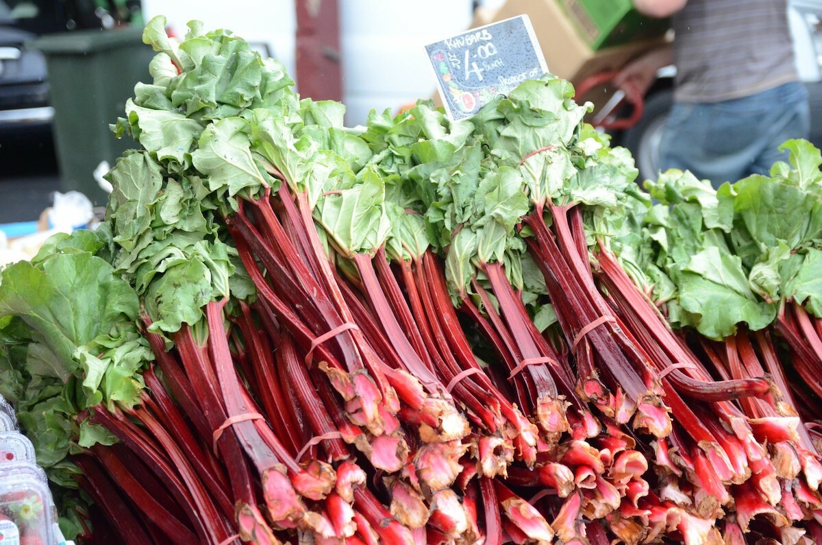 Bottes de rhubarbe ©avlxyz CC BY-NC-SA 2.0