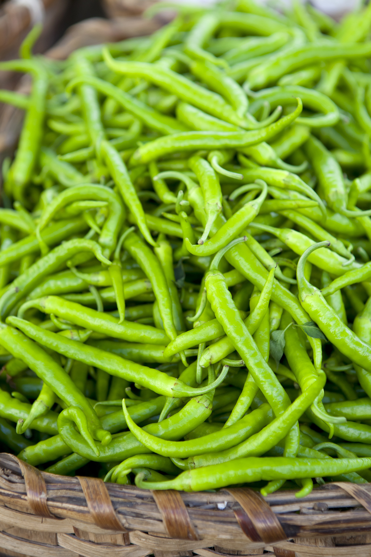 Guindillas ©JIL Photo shutterstock`