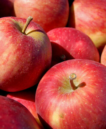 Pommes ©Tom Gill CC BY-NC-ND 2.0