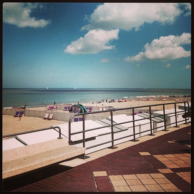 Mer du Nord - Le Coq