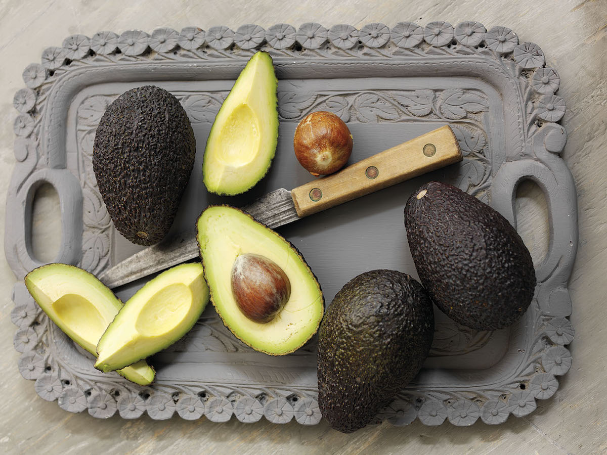 Avocat Haas du Pérou