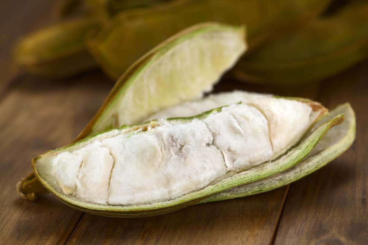 Peruvian fruit called Pacay (Inga feuilleei), which is a podded fruit of which the sweet white pulp surrounding the seeds is being eaten (Selective Focus, Focus on the lower two thirds of the pulp)