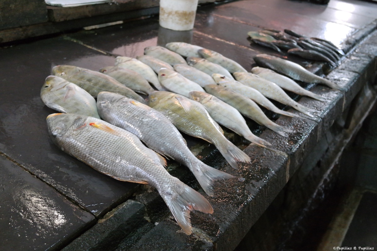 Marché aux poissons, Port Louis, Île Maurice