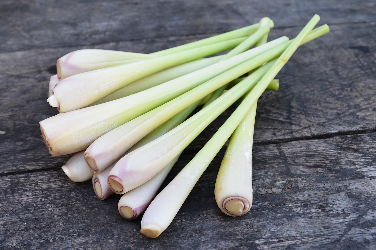 Citronnelle ©anat chant - Shutterstock