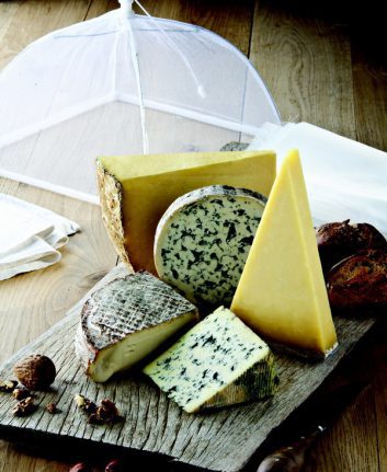 Fromages d'Auvergne