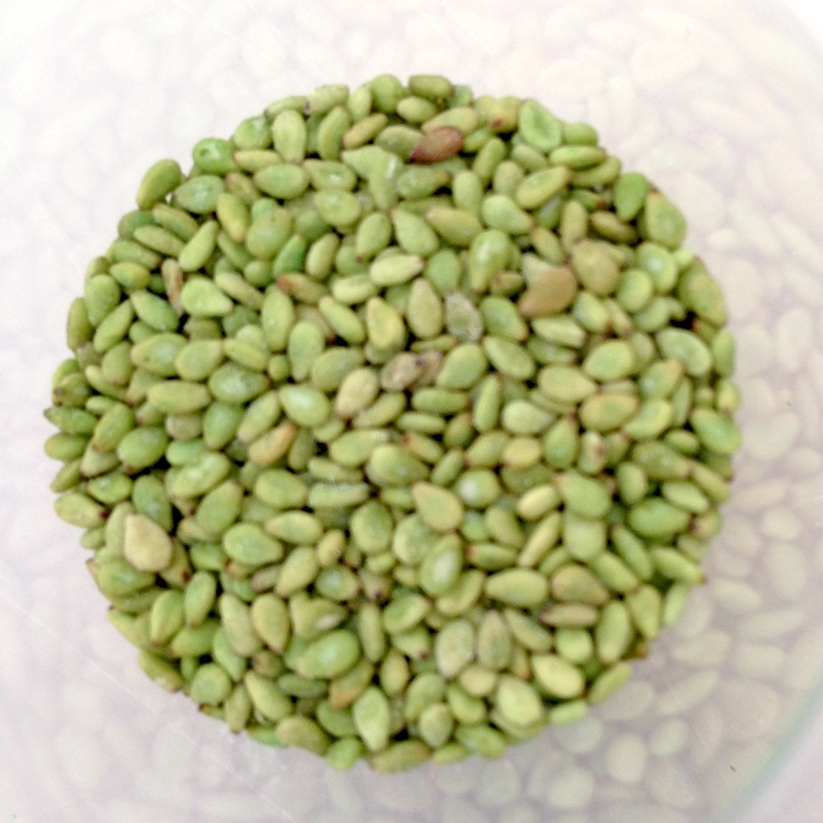 Graines de sésame au wasabi