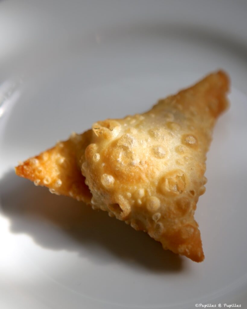 Bricks au thon épicé